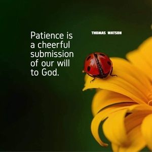 Meet your Posher, M.d.